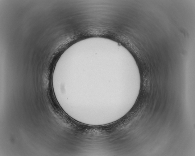 X0000111360635200908071154