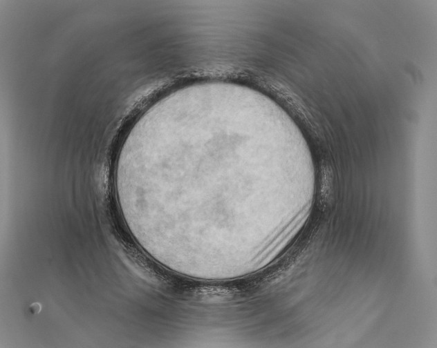 X0000111360636200908071154