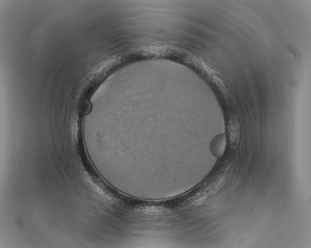 X0000111360637200908071154