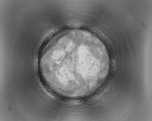 X0000111360638200908071154