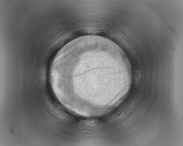 X0000111360639200908071154