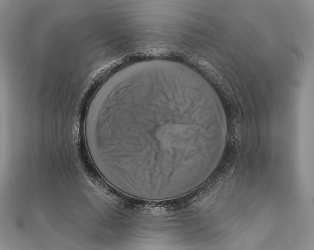 X0000111360640200908071154