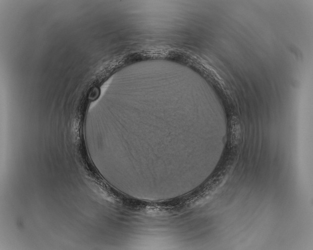 X0000111360641200908071154