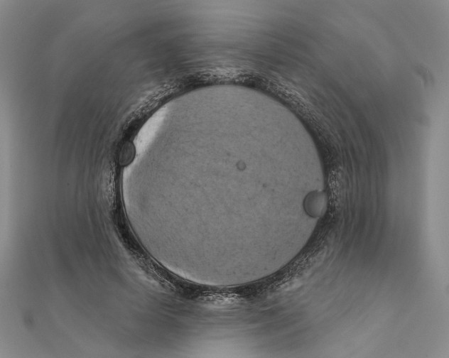 X0000111360642200908071154