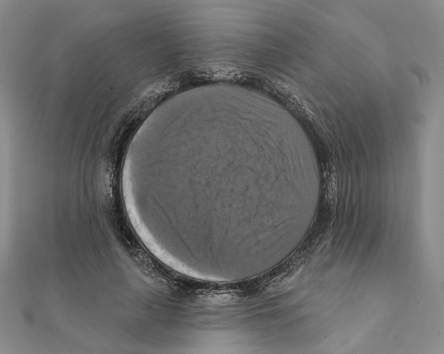 X0000111360643200908071154