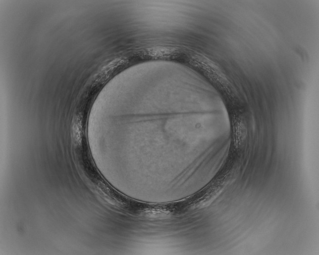 X0000111360644200908071154