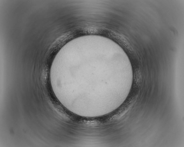 X0000111360645200908071154