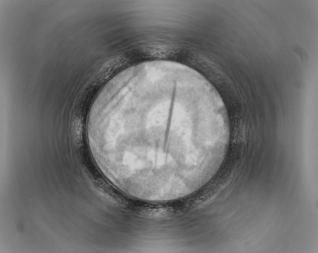 X0000111360646200908071154