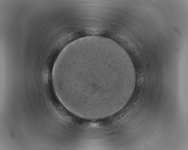 X0000111360647200908071154