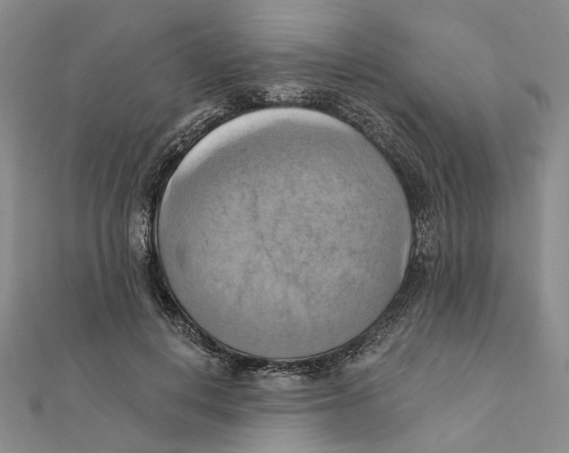 X0000111360648200908071154