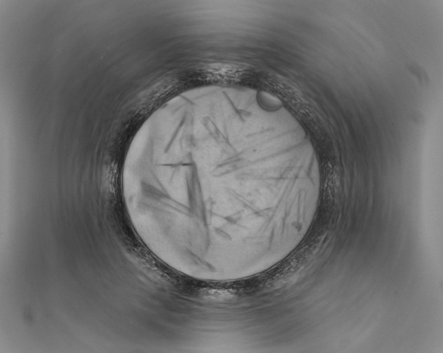 X0000111360649200908071154