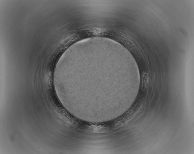 X0000111360650200908071154