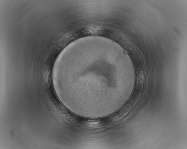 X0000111360651200908071154