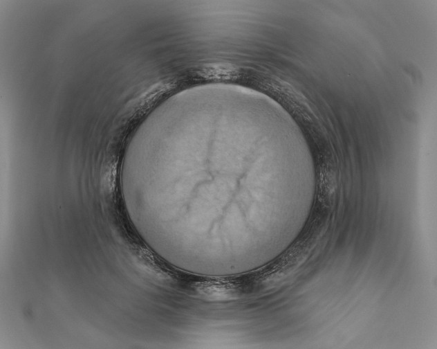 X0000111360652200908071154