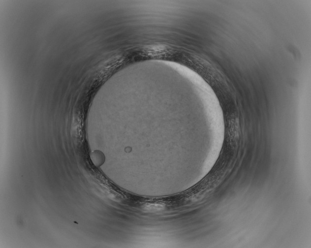 X0000111360653200908071154