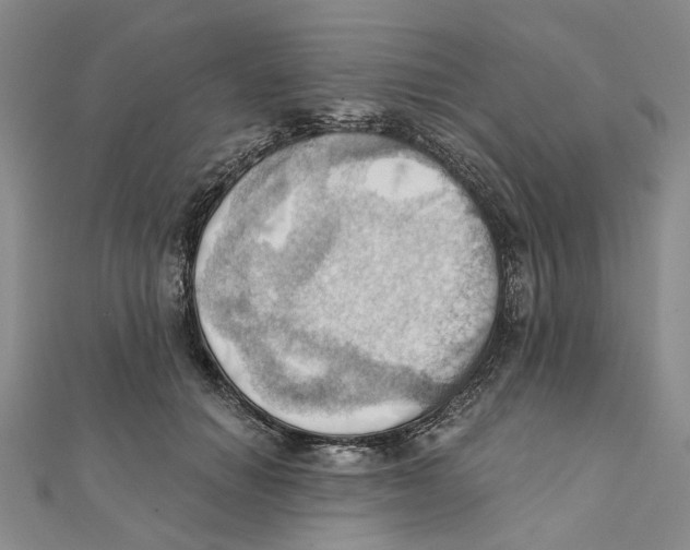 X0000111360654200908071154