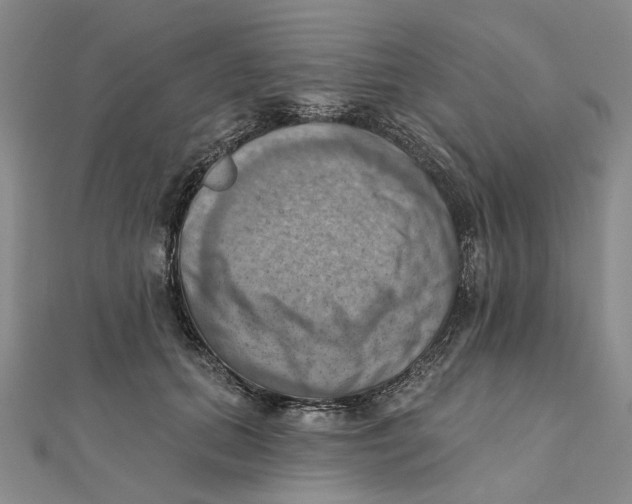 X0000111360655200908071154