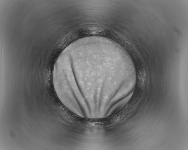 X0000111360657200908071154