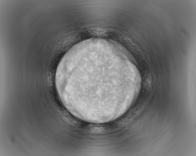 X0000111360658200908071154