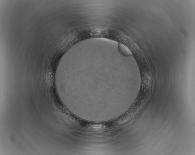 X0000111360659200908071154