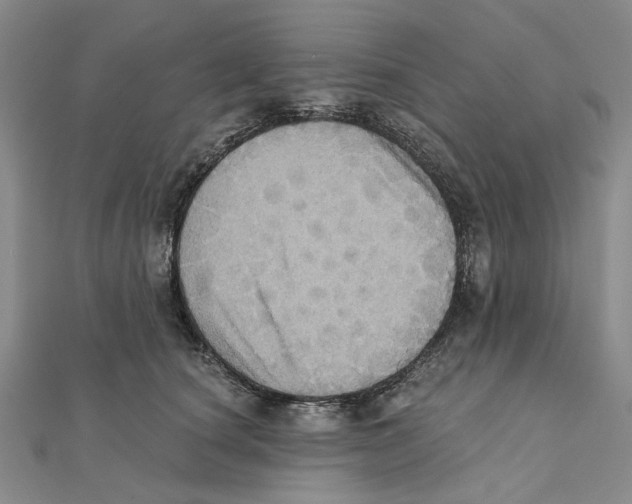 X0000111360660200908071154