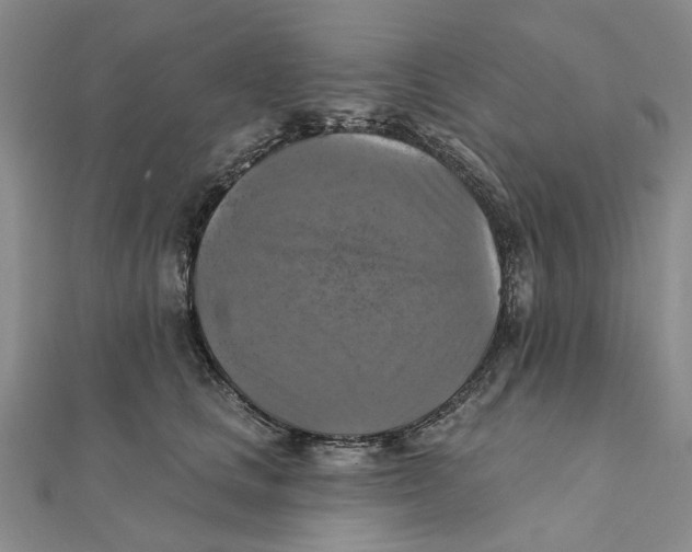 X0000111360661200908071154