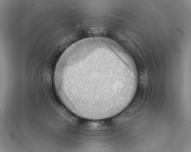 X0000111360662200908071154