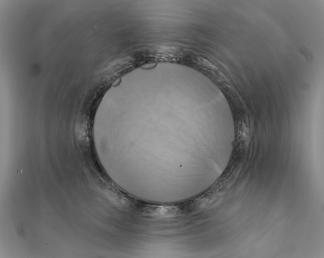 X0000111360663200908071154