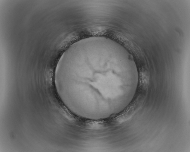 X0000111360664200908071154