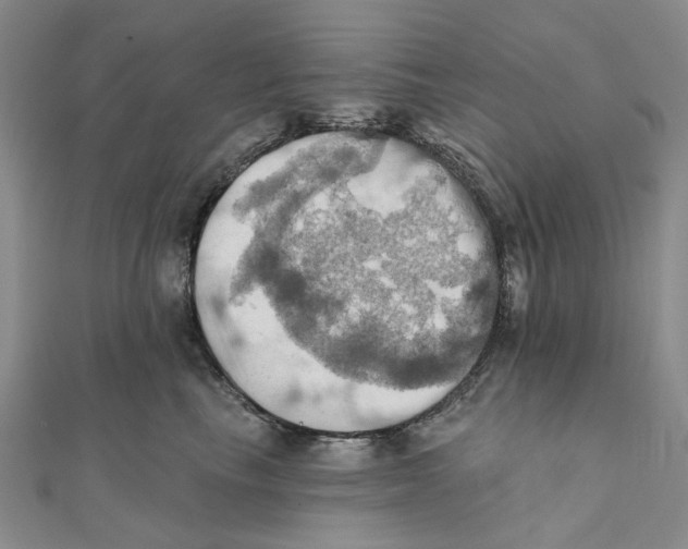 X0000111360665200908071154