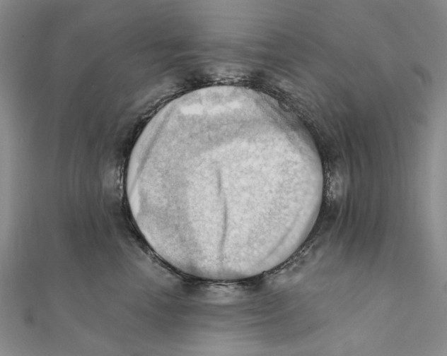 X0000111360666200908071154