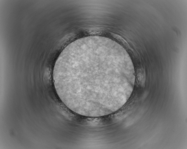 X0000111360667200908071154