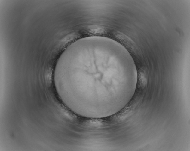 X0000111360668200908071154