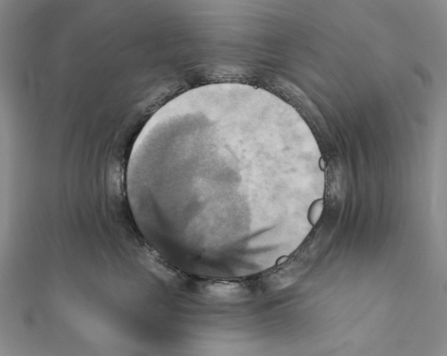 X0000111360669200908071154