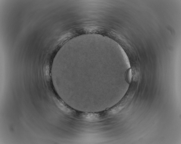 X0000111360670200908071154