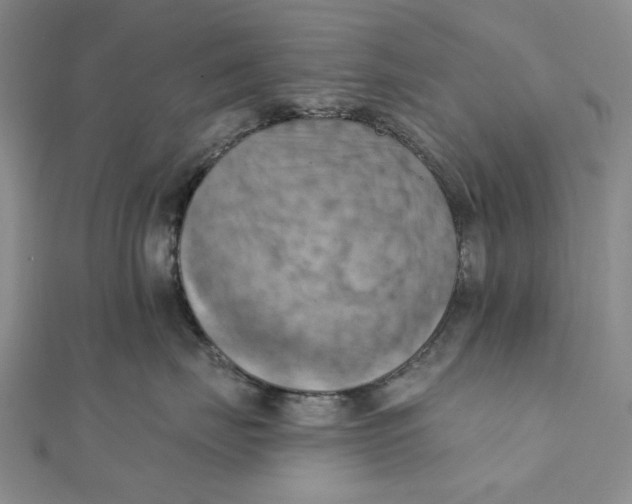 X0000111360671200908071154