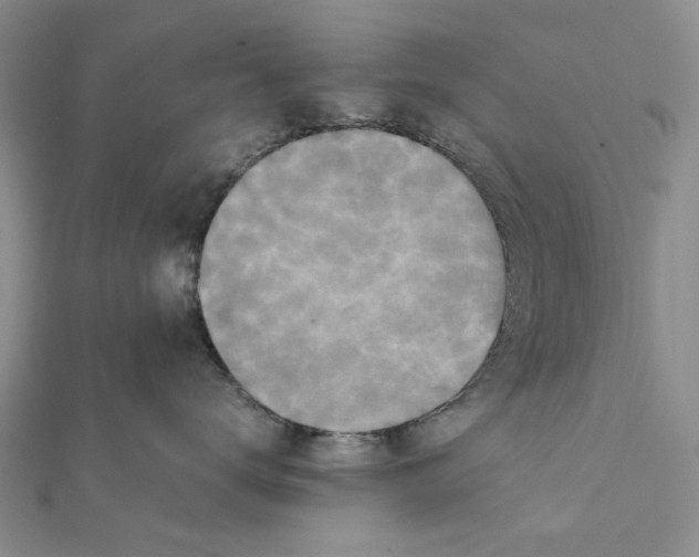 X0000111360672200908071154