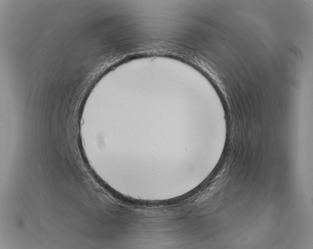 X0000111360673200908071154