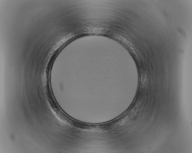 X0000111360674200908071154