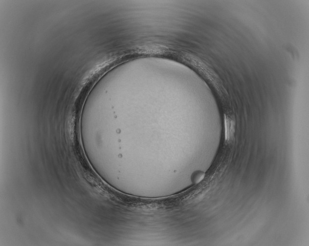 X0000111360675200908071154