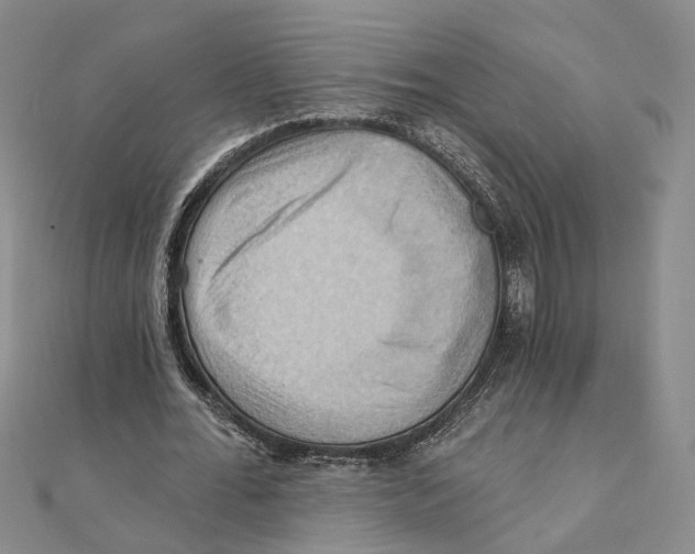 X0000111360676200908071154