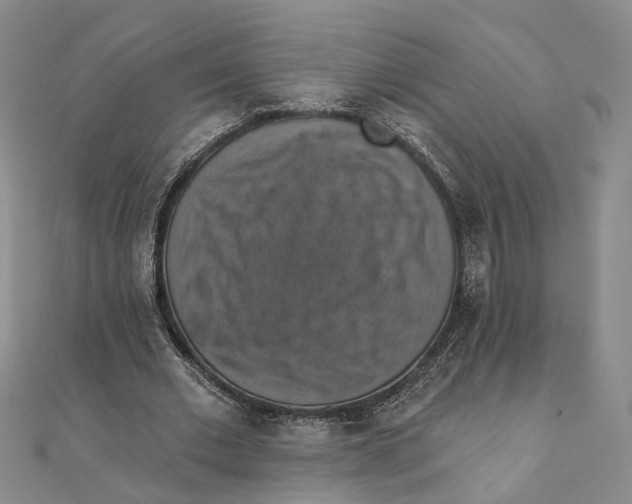 X0000111360677200908071154