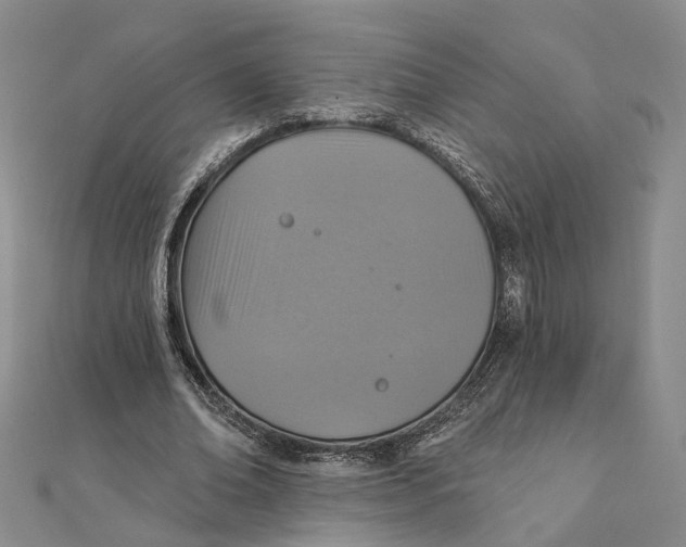 X0000111360678200908071154