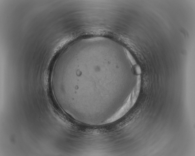 X0000111360679200908071154