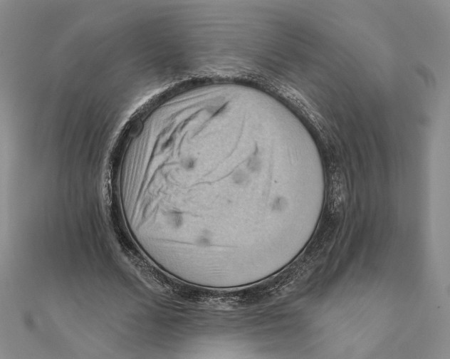 X0000111360680200908071154