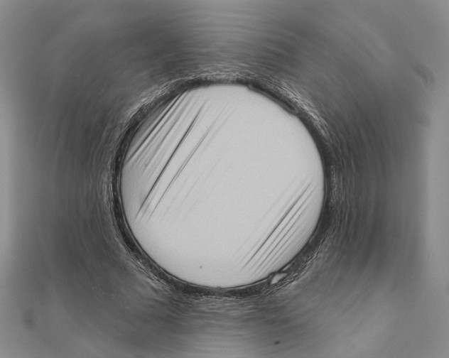 X0000111360681200908071154