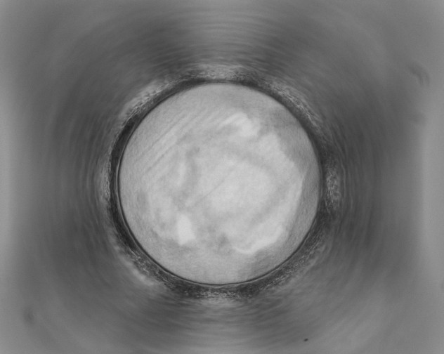 X0000111360682200908071154