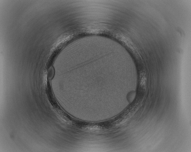 X0000111360685200908071153