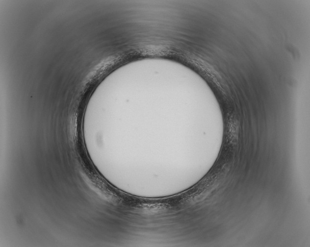 X0000111360686200908071153