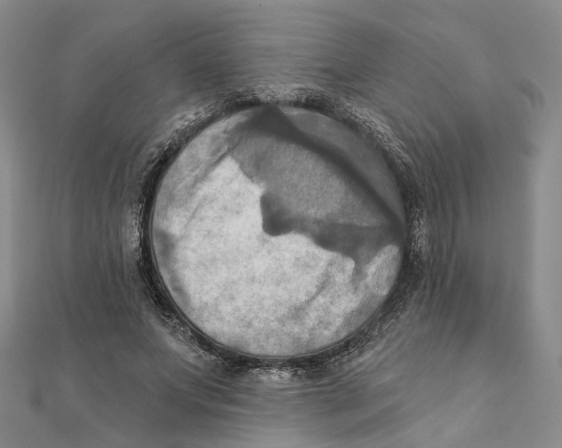 X0000111360687200908071153